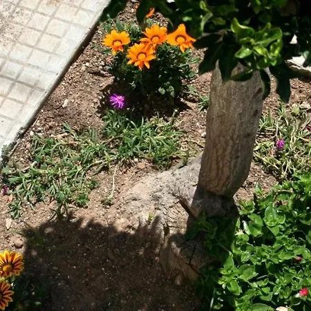 Il Giglio *